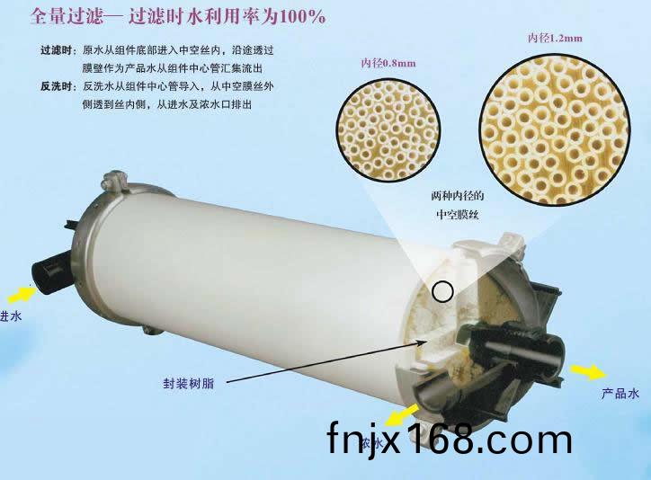 101629185.jpg UF.jpg