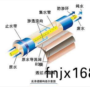 101648100.jpg RO.jpg