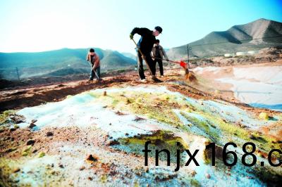 102858589.jpg gendiwuran0130.jpg